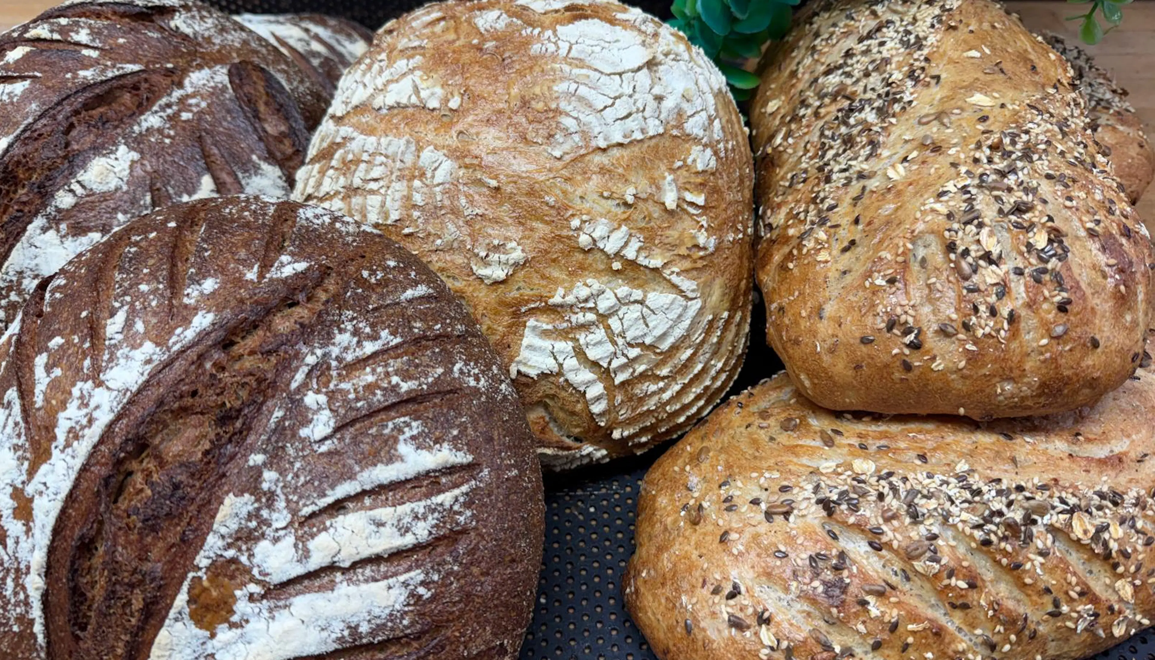 Bakery photo