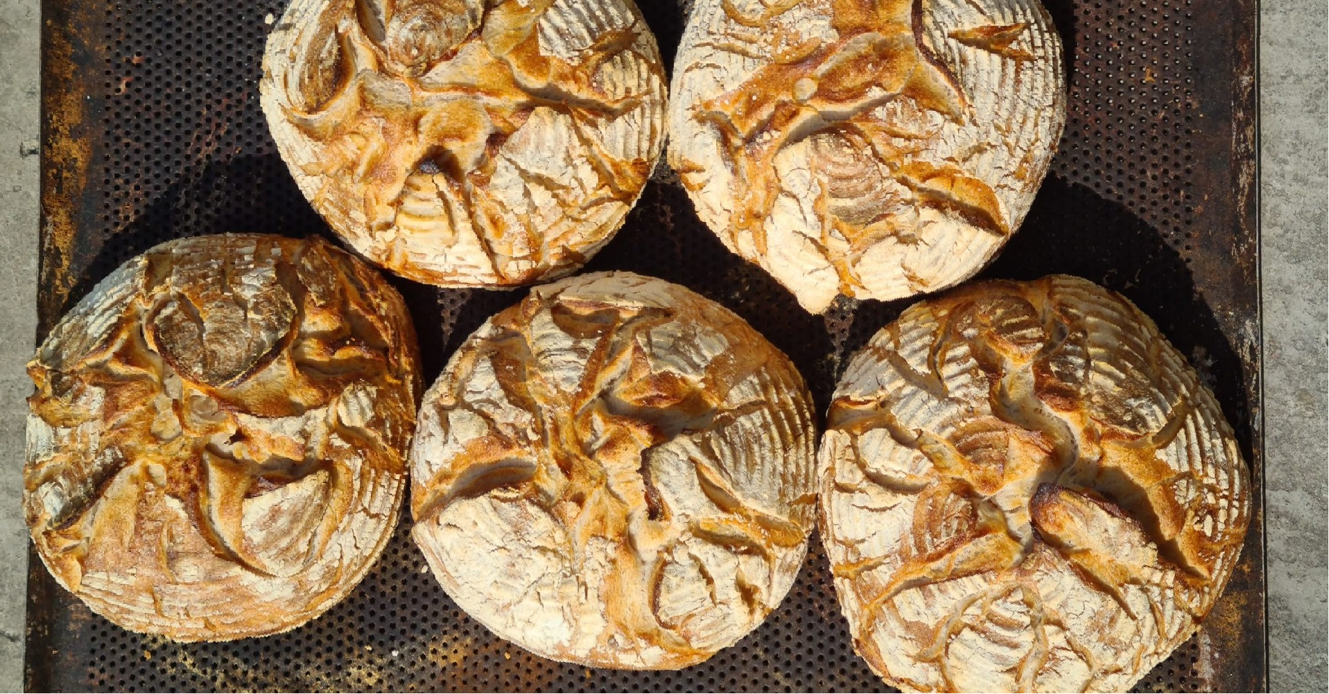 Bakery photo