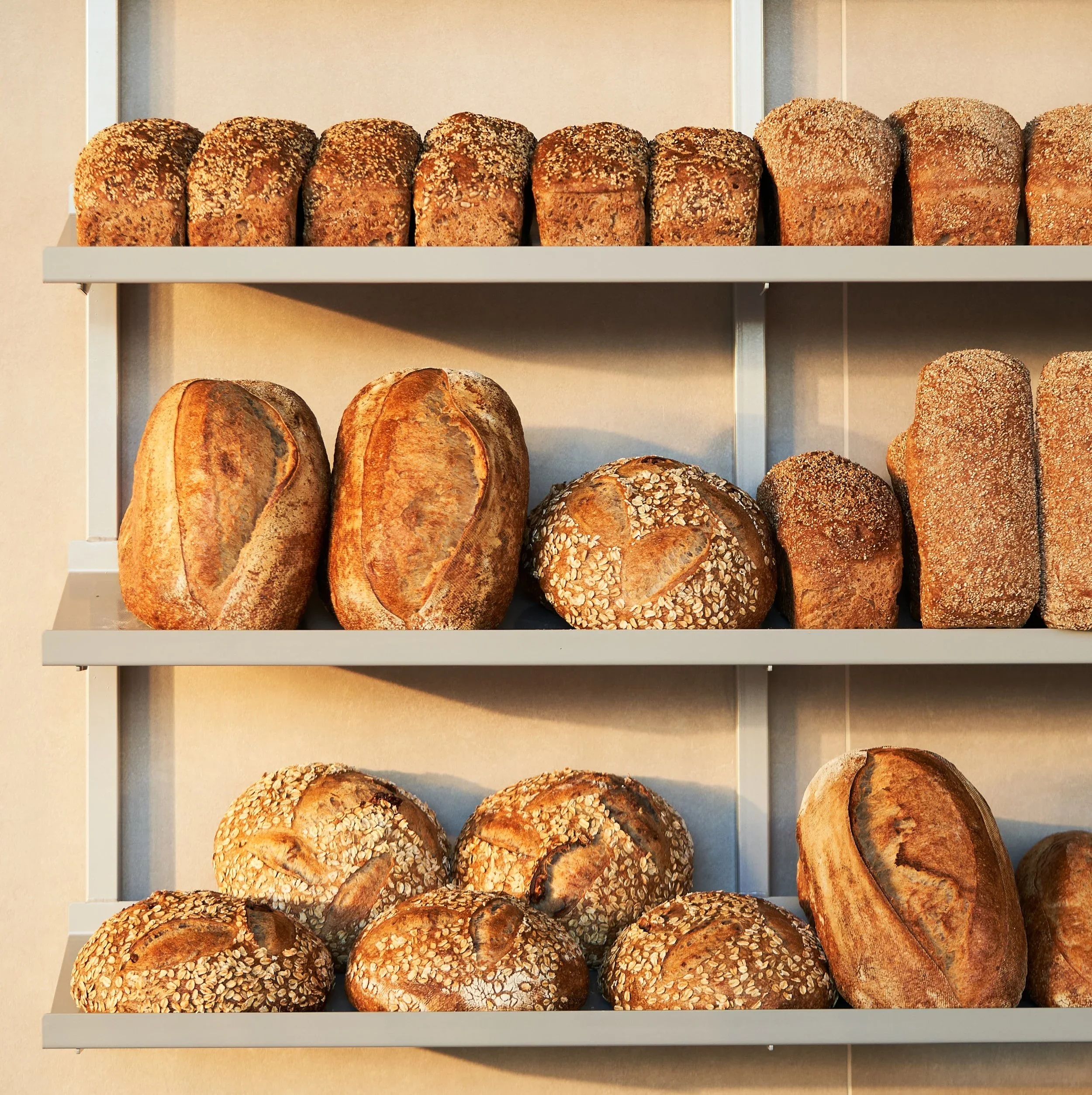 Bakery photo